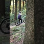 Trailpartie-Finale-2026-Roadlberg-Trails-UpperTrails