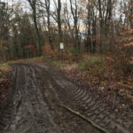 forstarbeiten1