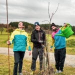 roadlberg-baumsetz-challenge