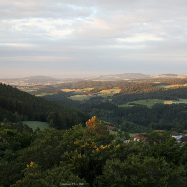 webcam-roadlberg